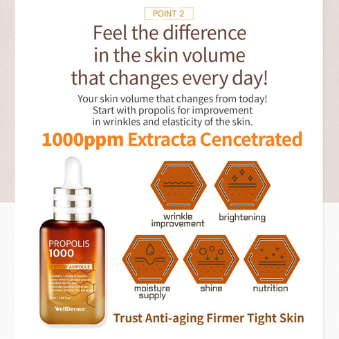 WellDerma Propolis Facial Ampoule for Dry & Sensitive Skin, Hydrating Korean Essence for Face Beauty - 1.69oz 50ml