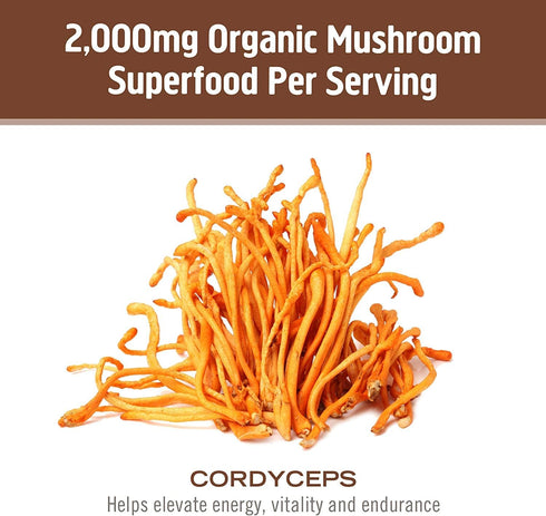 Om Mushroom Superfood Cordyceps Mushroom Capsules - 90 Count, Superfood Supplement for Energy, Power & Stamina