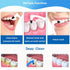 4-Pack Dental Tooth Stain Removers, Ergonomic Tools for Effective Plaque and Tartar Cleaning