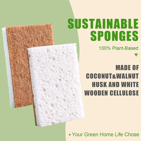Biodegradable Natural Kitchen Sponge,Eco Friendly Sponges for Dishes,Compostable Cellulose Sponge with Natural Plant Based Coconut Walnut Sustainable Scrubber Sponge Pack of 12 by PANYEE
