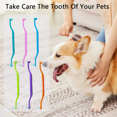 6 Pieces 2-in-1 Toothbrush with Interdental and Wisdom Teeth Brush Heads for Oral Care
