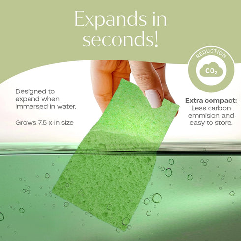 Plant-Based Pop-Up Sponges, Pack of 12 Cellulose Sponges, Highly Absorbent, Non Scratch