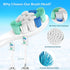 Electric Toothbrush Heads Compatible - Sonicare Replacement Heads C2 C1 G2 W W2 4100 5100 6100, Fit Phillips Sonicare,