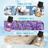 Clean Essential Oils Set: Fragrance Oil Set for Diffusers and Candle Making - 6x10ml