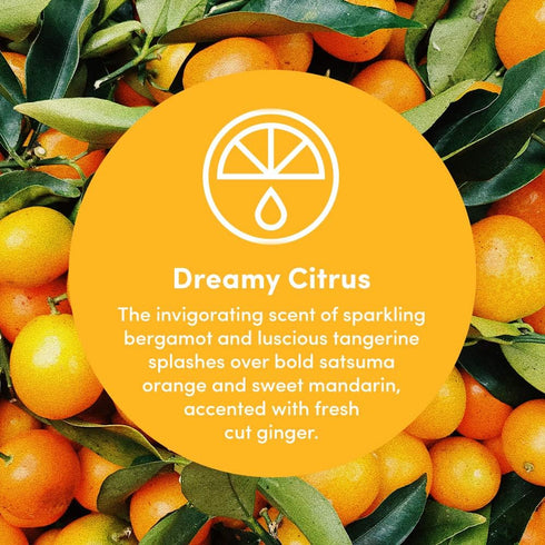 Clean Revolution Multi Surface Cleaner Refill, Non-Toxic Eco-Friendly Plant-Based, Dreamy Citrus, 128 Fl Oz