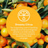 Clean Revolution Multi Surface Cleaner Refill, Non-Toxic Eco-Friendly Plant-Based, Dreamy Citrus, 128 Fl Oz