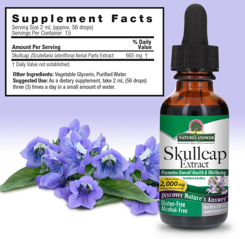 Nature's Answer Alcohol-Free Skullcap Herb, 1 Fluid Ounce