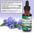 Nature's Answer Alcohol-Free Skullcap Herb, 1 Fluid Ounce