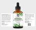 NaturoBliss 100% Pure Natural Undiluted Eucalyptus Essential Oil - 4oz, Therapeutic Grade