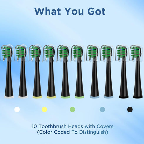 Replacement Toothbrush Heads for Waterpik Sonic Fusion Models (SF-01, SF-02, SF-03, SF-04), 10 Count, Black