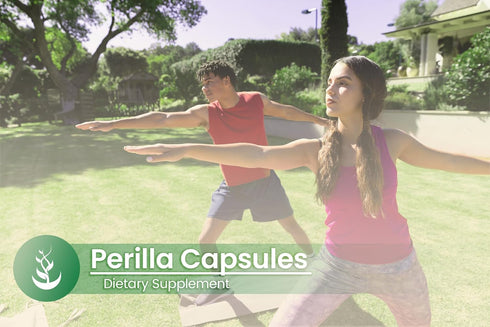 PURE ORIGINAL INGREDIENTS Perilla (100 Capsules), Always Pure, No Additives or Fillers, Lab Verified