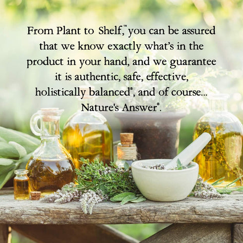 Nature's Answer Alcohol-Free Gymnema Leaf 1oz Extract - Gluten-Free, Non-GMO, Vegan, No Artificial Flavors