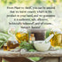 Nature’s Answer USDA Organic Lemongrass Essential Oil 0.5 fl oz (15ml) - 100% Pure Natural Aromatherapy Oil