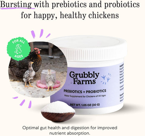 Grubbly Farms Prebiotics + Probiotics for Chickens, 30 Day Supply