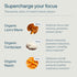 FOCL Lions Mane Mushroom Gummies - Vegan Supplement for Brain Function, Focus, Memory, Energy, Immune Boost
