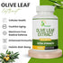 Olive Leaf Extract, 4-Month Supply, 50% Oleuropein Highest Concentration