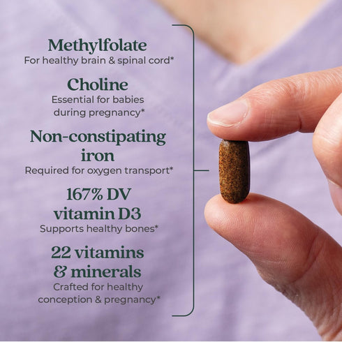 New Chapter Prenatal Vitamins | One Daily Multivitamin with Methylfolate + Choline | Gluten Free & Non-GMO, 90 Count