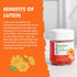 Nature's Key Lutein Gummies 12mg with Zeaxanthin & Vitamin A - Eye Health and Brain Function Supplement - 60Ct