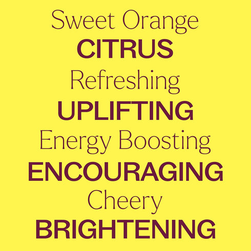 Plant Therapy Sweet Orange Organic Essential Oil 100% Pure, 30 mL (1 oz), USDA Certified Organic