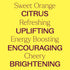 Plant Therapy Sweet Orange Organic Essential Oil 100% Pure, 30 mL (1 oz), USDA Certified Organic