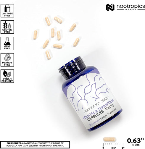 Nootropics Depot Polygala tenuifolia Capsules - 100mg - 90 Count - 20:1 Extract - Supports Cognitive Function and Stress