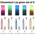 Maydear Chameleon Lipstick 5 Colors Set, Long Lasting Waterproof Colourful Diamond Shimmer Lip Gloss for Women Girls Makeup kit