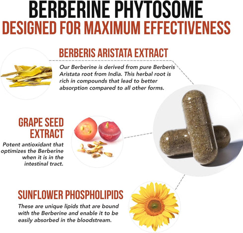 SoActive Berberine 550mg, Clinically Proven Most Effective Berberine Phytosome for Metabolism (60 Servings)