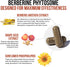 SoActive Berberine 550mg, Clinically Proven Most Effective Berberine Phytosome for Metabolism (60 Servings)