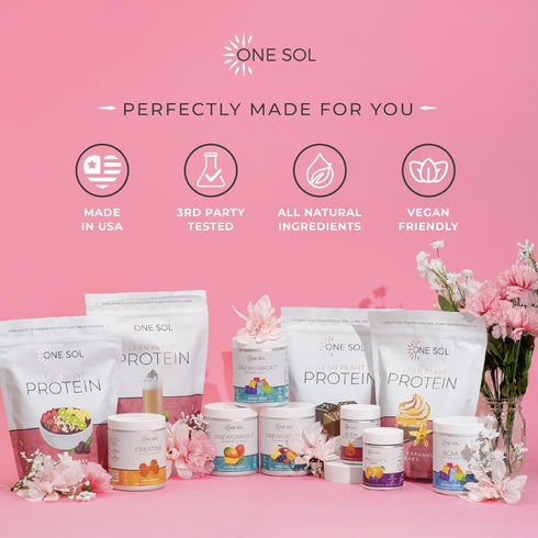 One Sol Lean Plant Protein Powder - Horchata, Low Carb, Gluten-Free, Vegan Friendly, No Sugar Added