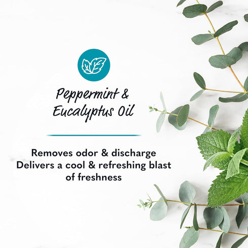 Summer's 15 Oz Eve Perimenopause Cooling Wash, Cooling pH-Balanced Formua with Eucalyptus to Remove Odor, Fl