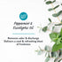Summer's 15 Oz Eve Perimenopause Cooling Wash, Cooling pH-Balanced Formua with Eucalyptus to Remove Odor, Fl