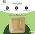 Disposable Palm Leaf Mini Bowl, 3.5" Square, 25 pcs, All Natural and Biodegradable Dipping Bowls for Parties