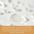 Furniture Clinic Carpet & Upholstery Care Kit - Clean, Protect, and Prevent Stains and Odors