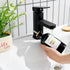 MUVEKA 11.8oz Glass Mouthwash Dispenser for Bathroom, Mouthwash Holder with Stianless Steel Spouts, Mouthwash Decanter