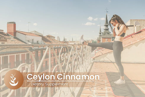 Ceylon Cinnamon by PURE ORIGINAL INGREDIENTS, Always Pure, No Additives or Fillers