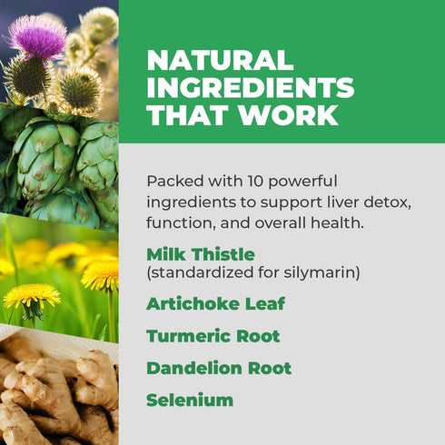 Balance ONE Liver Support Supplement with Milk Thistle Extract, Dandelion Root & Molybdenum, Vegan Capsules, 1 Month