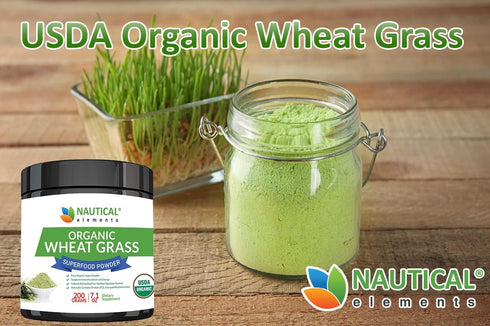 Wheatgrass Powder - USDA Certified Organic, Rich In Essential Amino Acids, Chlorophyll, Antioxidants, Fatty Acids,