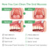 Oral Mucosal Cleaner | Silicon Oral Care Cleaner | Gum Massager with Air Bag (1 pc)