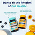 NewRhythm Probiotics 120 Billion CFU, 3-in-1 Digestive Health Supplement with Prebiotics & Enzymes, 30ct