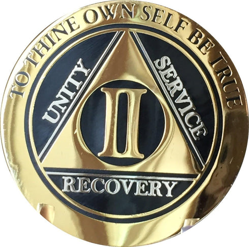 RecoveryChip 2 Year AA Medallion, Elegant Black Gold Silver Bi-Plated Alcoholics Anonymous Chip