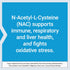 Life Extension N-Acetyl-L-Cysteine (NAC) 600 mg - Immune, Respiratory & Liver Health, 60 Capsules