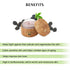 Shir-Organic Pure Blackberry Moisturizer, Fights Free Radicals, Smooth Texture for Normal to Dry Sensitive Skin (15ml)