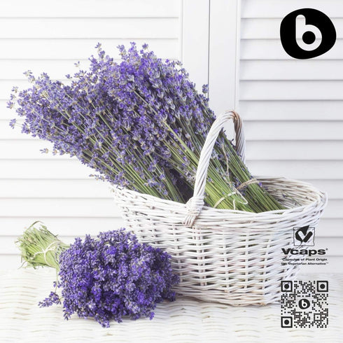 Organic Lavender Capsules - Natural Supplement for Relaxation and Balance, Non-GMO, Gluten-Free, 90 Vegan Capsules