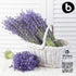 Organic Lavender Capsules - Natural Supplement for Relaxation and Balance, Non-GMO, Gluten-Free, 90 Vegan Capsules