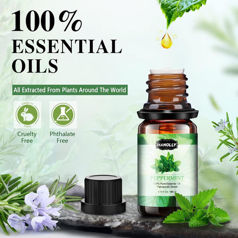 Set, (26 5ml) Essential Oils Aromatherapy Essential Oil Kit for Diffuser, Massage, Skin Care x - Eucalyptus, Lavender