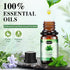 Set, (26 5ml) Essential Oils Aromatherapy Essential Oil Kit for Diffuser, Massage, Skin Care x - Eucalyptus, Lavender