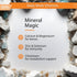 Buried Treasure VM100 Complete Daily Liquid Vitamins and Minerals Supplement, 32 Ounce, Orange Zest Flavor
