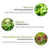 PESTLO Spicule Re-Born Exfoliating Peeling Mask 4.23 oz./120ml - Gentle Exfoliation, Nourishing, Radiant Skin
