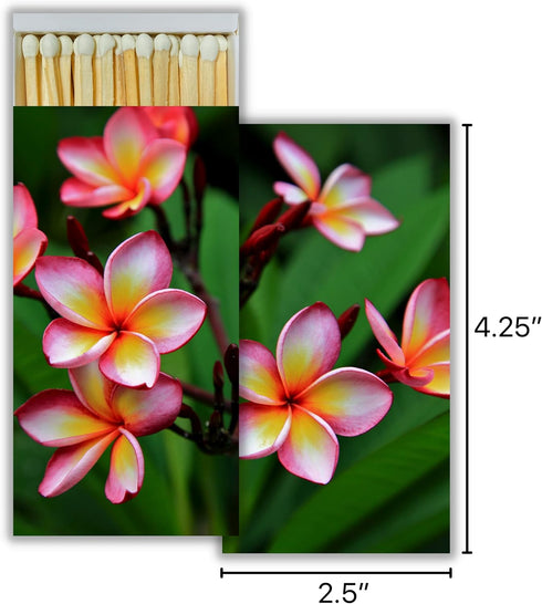 Set 3 Box & Bean Pink Plumeria Decorative Match Boxes with Wooden Matches - Great for lighting Candles, Fireplaces