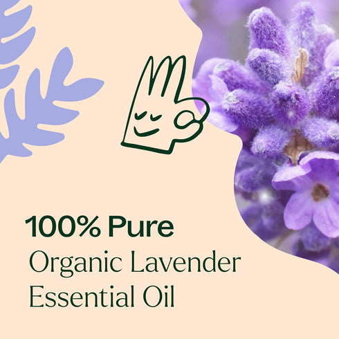 Plant Therapy Organic Lavender Essential Oil 100% Pure, 10 mL, USDA Certified Organic